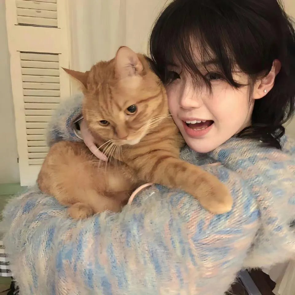 绿林小子